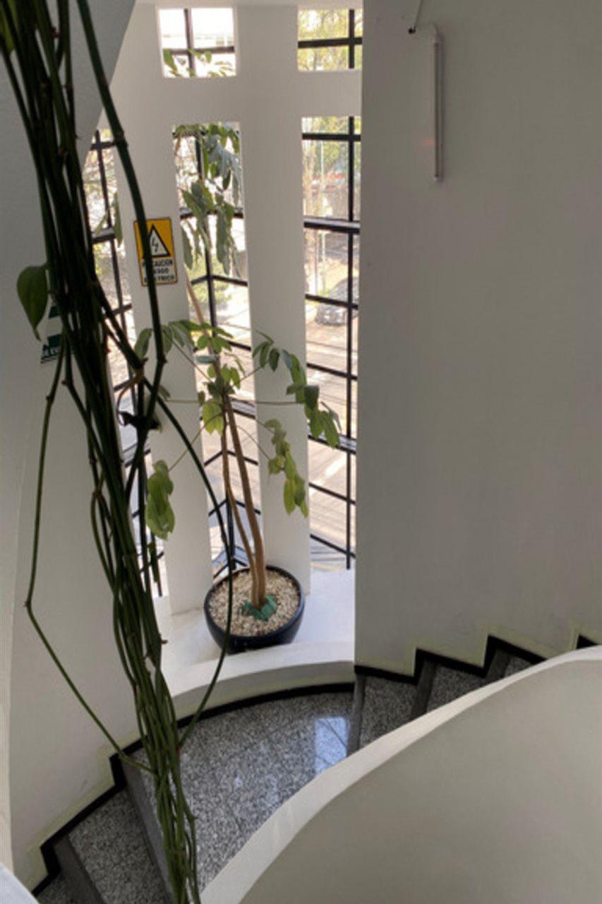 مدينة مكسيكو Flowsuites Polanco المظهر الخارجي الصورة